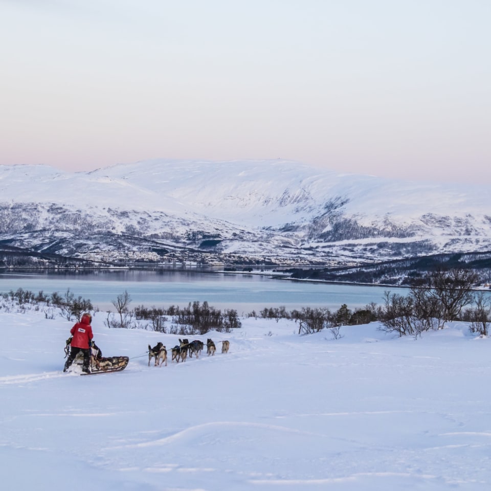 Huskytour und Eishotel